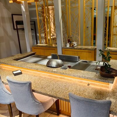 Table de gril commercial Teppanyaki avec acier allié de qualité alimentaire et chauffage électrique / à gaz en 1200 * 850 * 800mm Taille